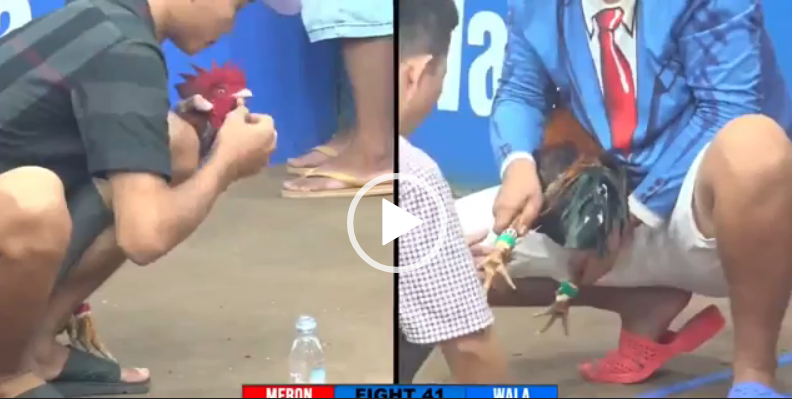 duyen ti vs hung can tho