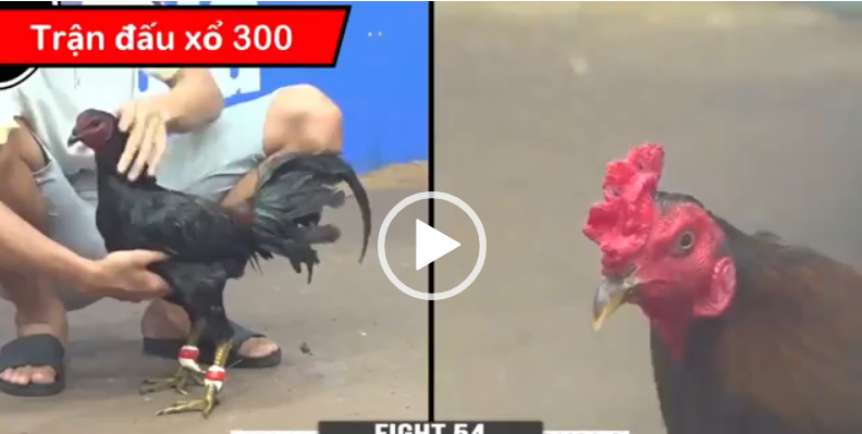 trận 54 duyên ti xổ 300