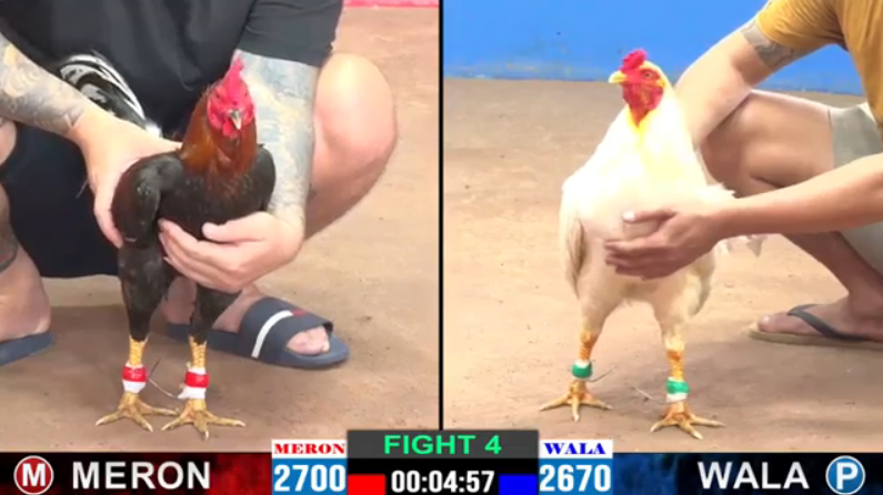 anh lành vs bảo sting trận 4 cpc2