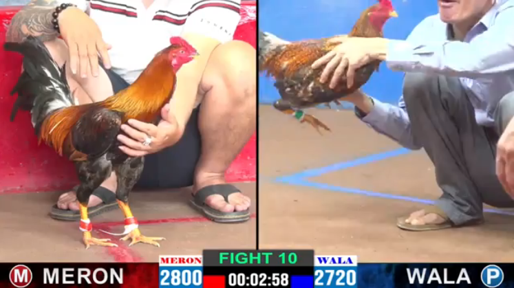 anh-tay-vs-my-lieu-tran-10-cpc2-ngay-09-08-2024