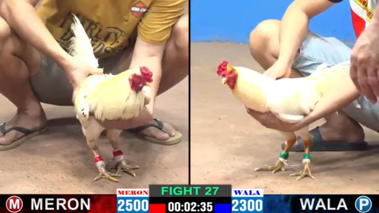 bảo sitng vs anh vàng cpc2 trận 27