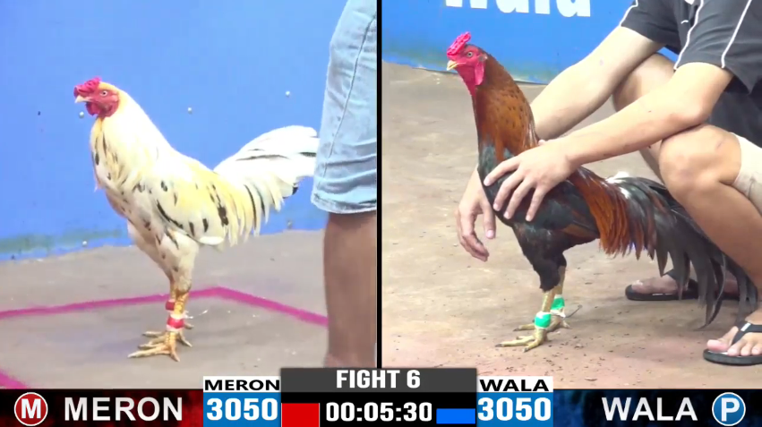 dung-sai-gon-vs-bao-sting-tran-6-cpc3-ngay-18-08-2024