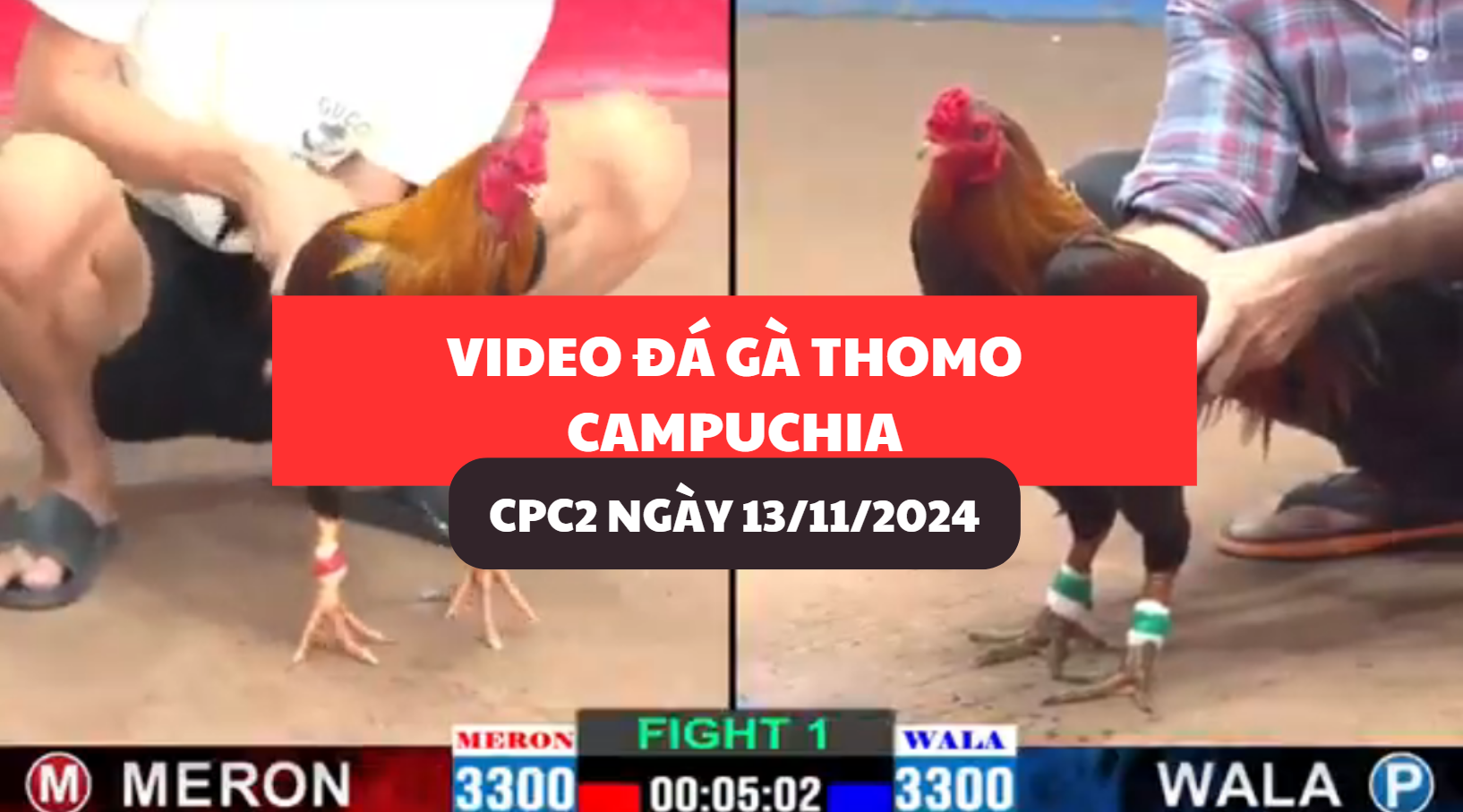da-ga-thomo-campuchia-tai-cpc2-ngay-13-11-2024