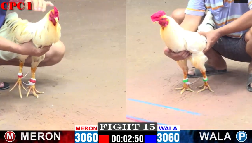 Danh long an vs mít trà cú trận 15