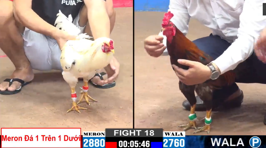 trận 18 cpc2 ngày 15/11/2024 bảo sting vs anh long