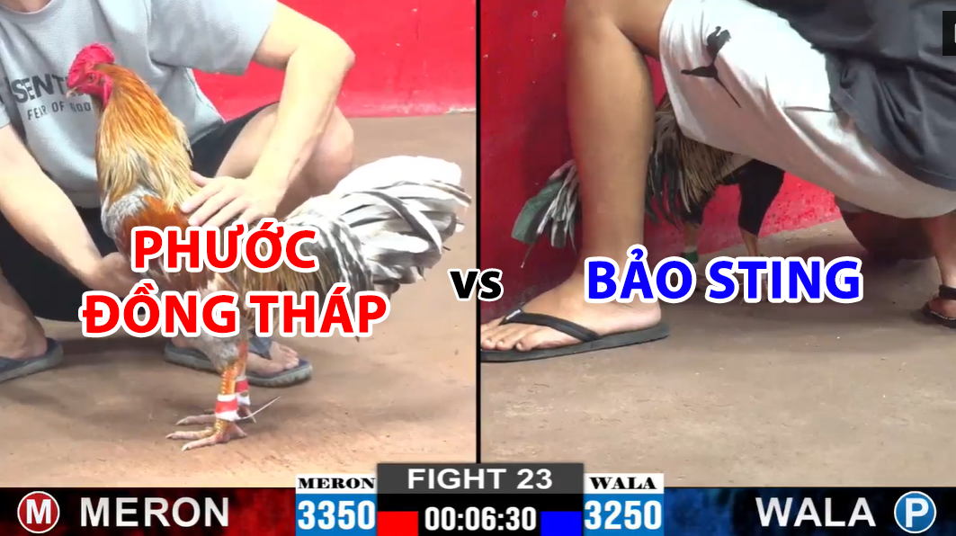 trận 23 cpc2 ngày 27/11/2024 hôm nay giữa phước đồng tháp vs bảo sting
