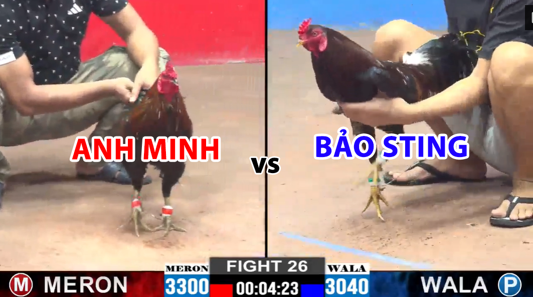 trận 26 cpc2 ngày 29/11/2024 hôm nay bảo sting vs anh minh