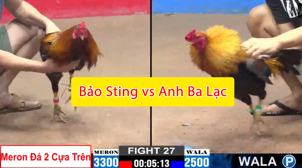 trận 27 cpc2 ngày 15/11/2024 bảo sting vs anh ba lạc