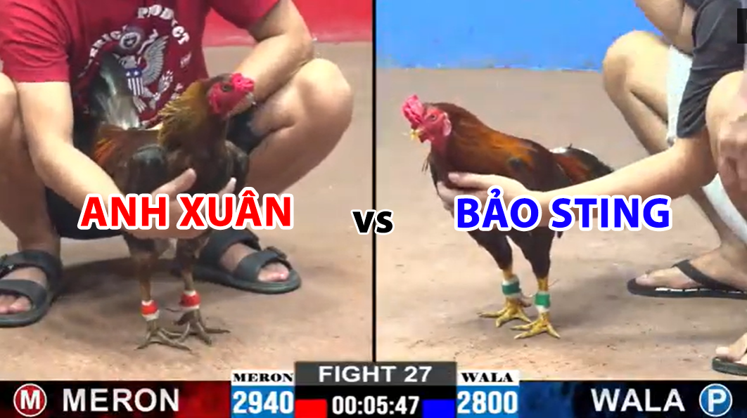 trận 27 cpc2 ngày 27/11/2024 hôm nay giữa anh xuân vs bảo sting