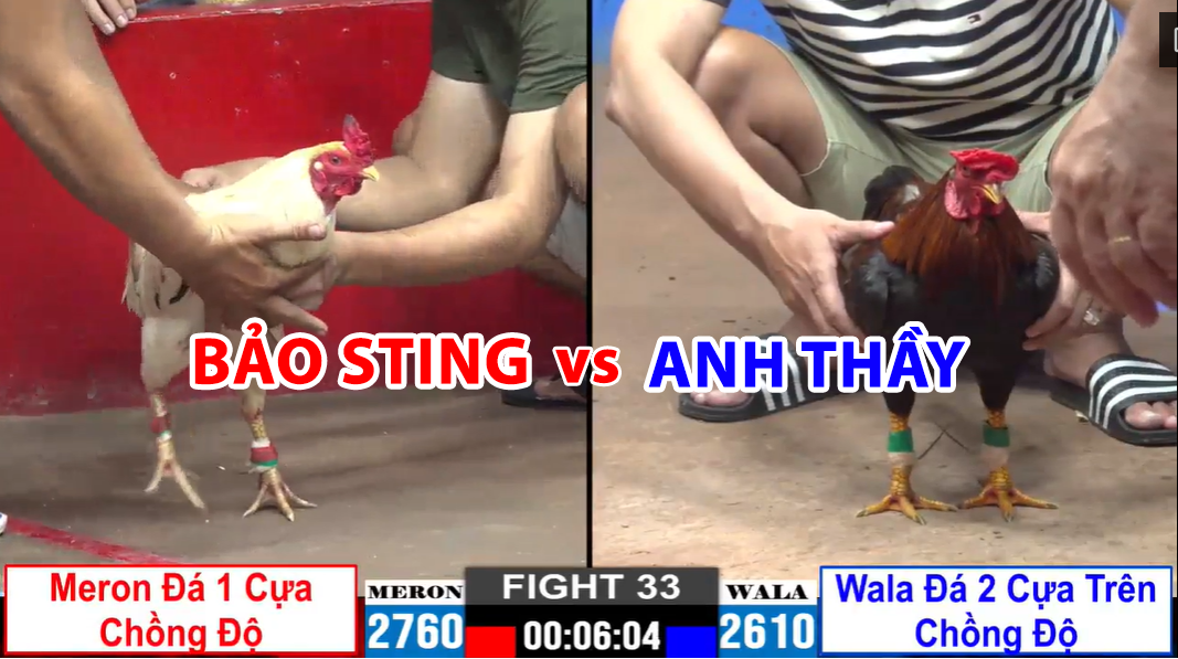 trận 33 cpc2 ngày 22/11/2024 bảo sting vs anh thầy