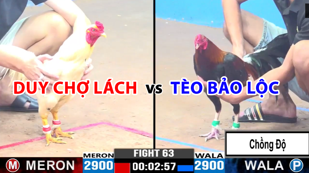 trận 63 cpc3 ngày 19/11/2024 duy chợ lách vs tèo bảo lộc