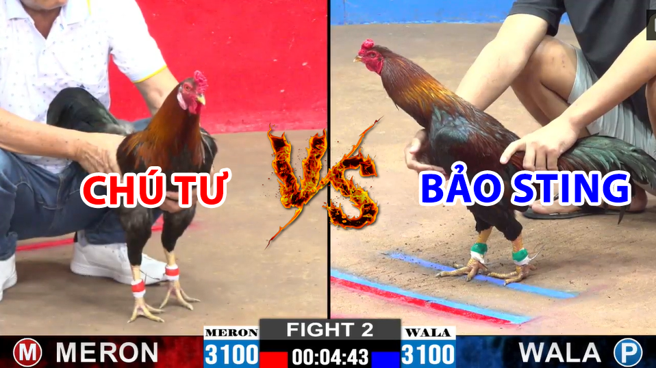 trận 2 cpc2 ngày 15/12/2024 hôm nay chú tư vs bảo sting