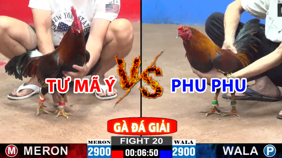 trận 20 cpc2 ngày 22/12/2024 hôm nay giữa phu phu vs tư mã ý
