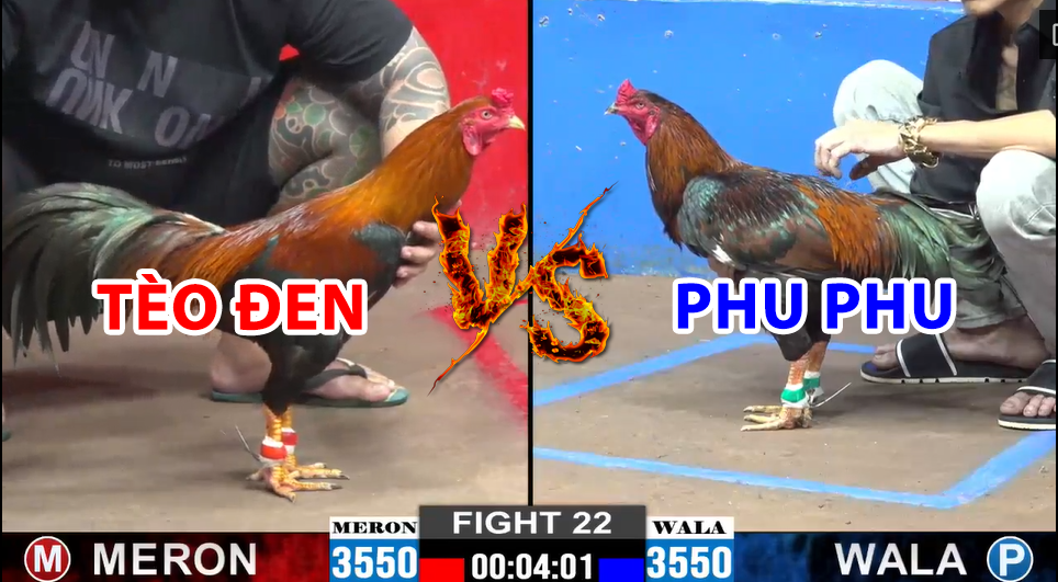 trận 22 cpc2 ngày 15/12/2024 hôm nay idol phu phu vs tèo đen