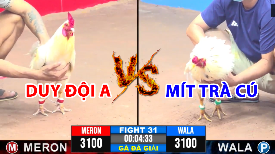 trận 31 cpc3 ngày 17/12/2024 hôm nay mít trà cú vs duy đội a