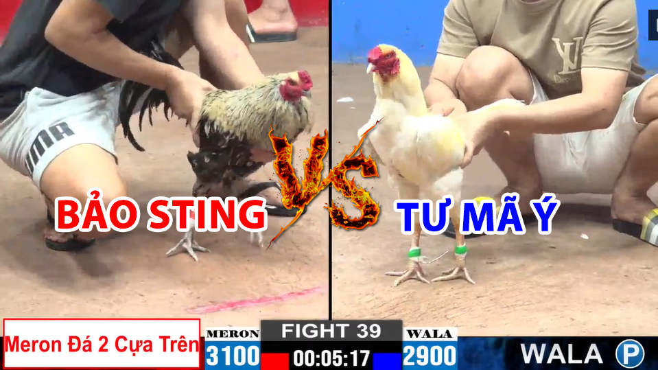 trận 39 cpc2 ngày 22/12/2024 hôm nay giữa bảo sting vs tư mã ý