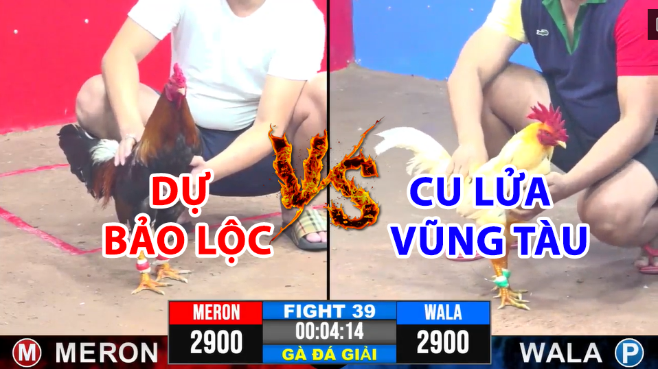 trận 39 cpc3 ngày 17/12/2024 hôm nay giữa dự bảo lộc vs cu lửa vũng tàu