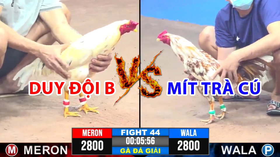 trận 44 cpc3 ngày 17/12/2024 hôm nay giữa mít trà cú vs duy đội b