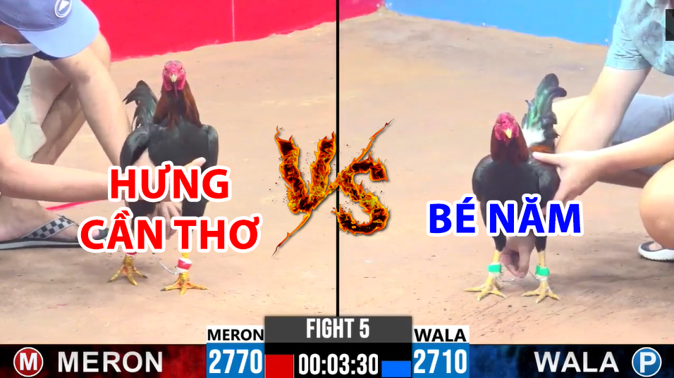 trận 5 cpc3 ngày 17/12/2024 hôm nay giữa hưng cần thơ vs bé năm