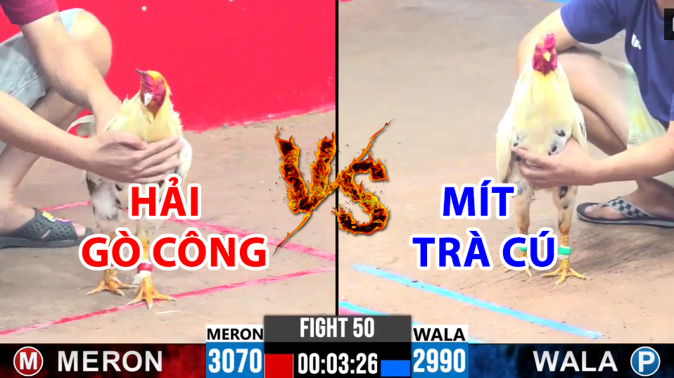 trận 50 cpc3 ngày 17/12/2024 hôm nay giữa mít trà cú vs hải gò công