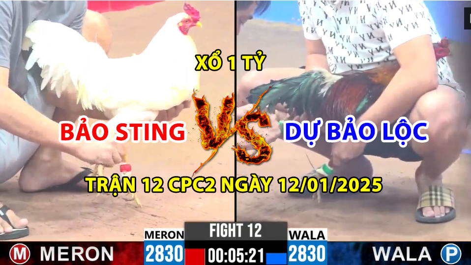 trận 12 cpc3 ngày 12/01/2025 hôm nay giữa bảo sting vs dự bảo lộc