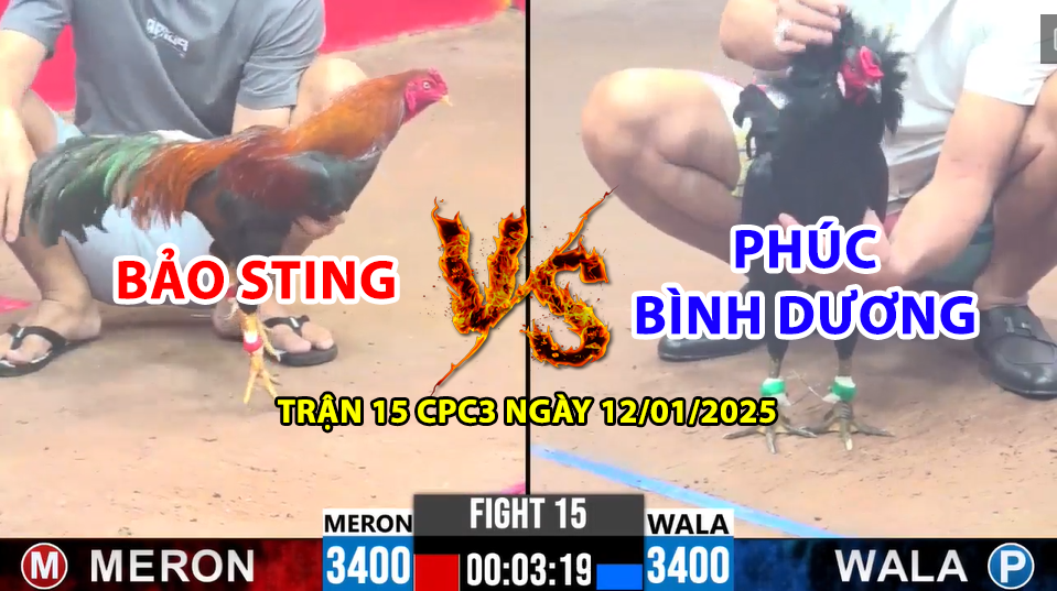 trận 15 cpc3 ngày 12/01/2025 hôm nay giữa bảo sting vs phúc bình dương