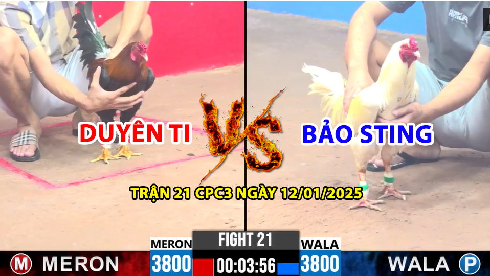 trận 21 cpc3 ngày 12/01/2025 hôm nay giữa duyên ti vs bảo sting