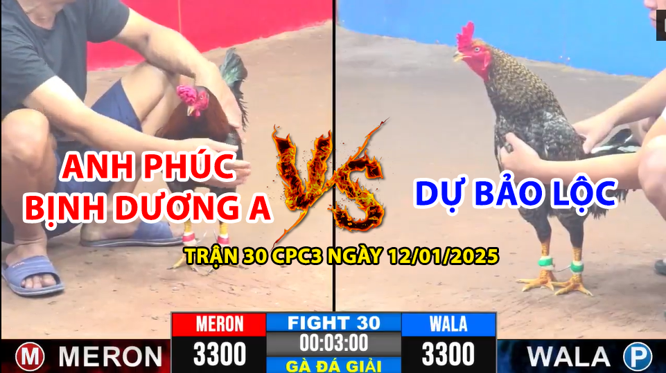 trận 30 cpc3 ngày 12/01/2025 hôm nay giữa anh phúc bình dương a vs dự bảo lộc