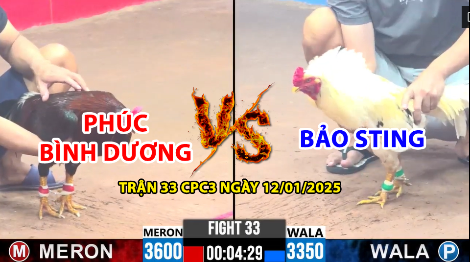 trận 33 cpc3 ngày 12/01/2025 hôm nay giữa phúc bình dương vs bảo sting