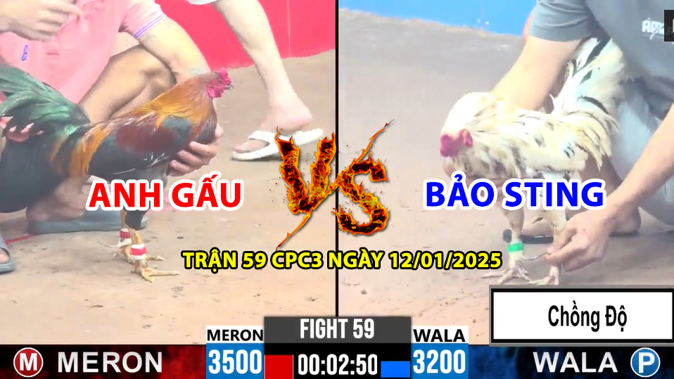 trận 59 cpc3 ngày 12/01/2025 hôm nay giữa bảo sting vs anh gấu