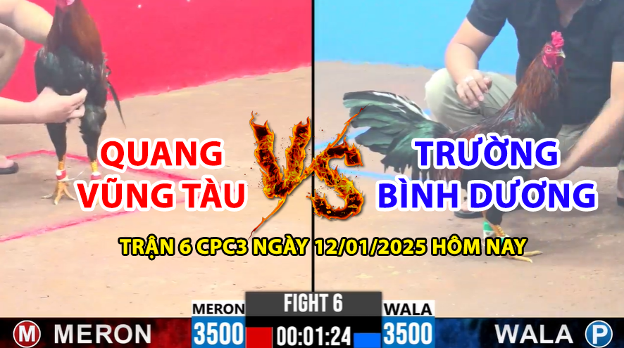 trận 6 cpc3 ngày 12/01/2025 hôm nay quang vũng tàu và trường bình dương