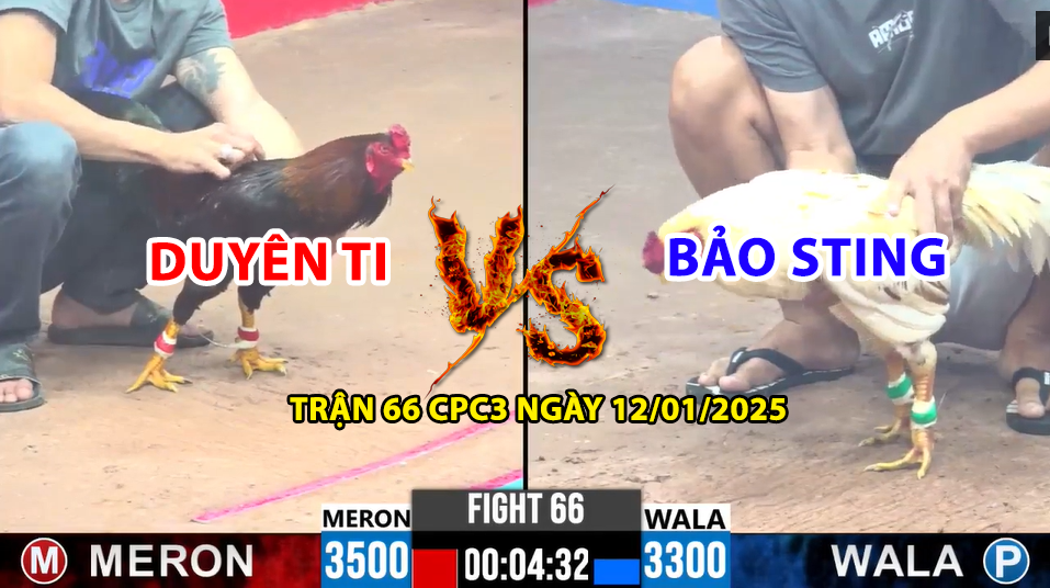 trận 66 cpc3 ngày 12/01/2025 hôm nay giữa duyên ti vs bảo sting