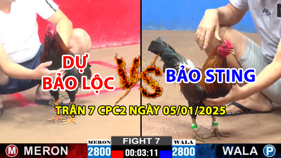 trận 7 cpc2 ngày 05/01/2025 hôm nay giữa dự bảo lộc và bảo sting