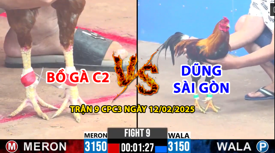 trận 9 cpc3 ngày 12/01/2025 hôm nay giữa bồ gà 999 và dũng sài gòn