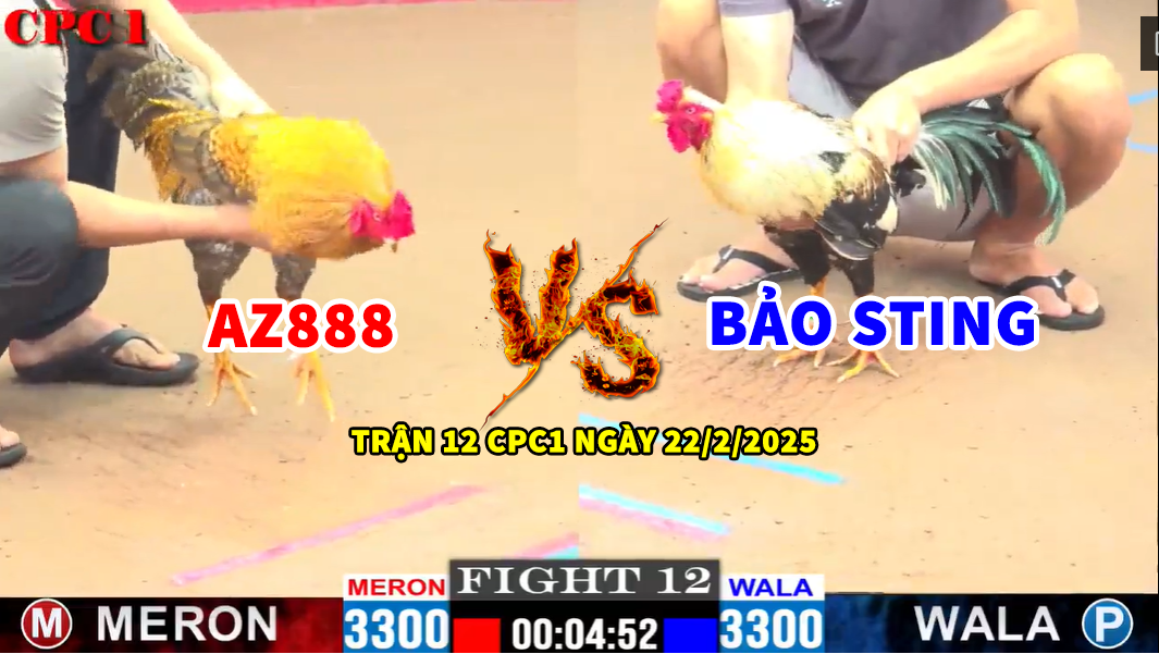 trận 12 cpc1 ngày 22/2/2025 hôm nay bảo sting vs az888