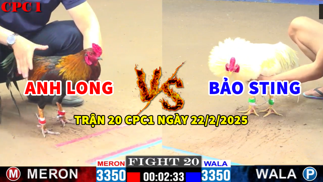 trận 20 cpc1 ngày 22/2/2025 hôm nay anh long vs bảo sting