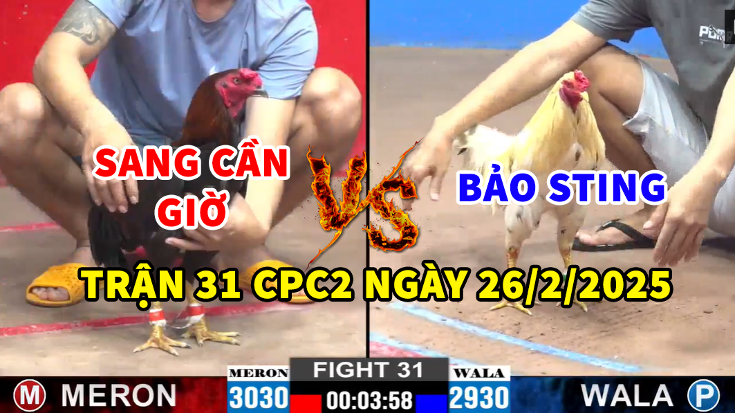 trận 31 cpc2 ngày 26/2/2025 hôm nay giữa bảo sting và sang cần giờ