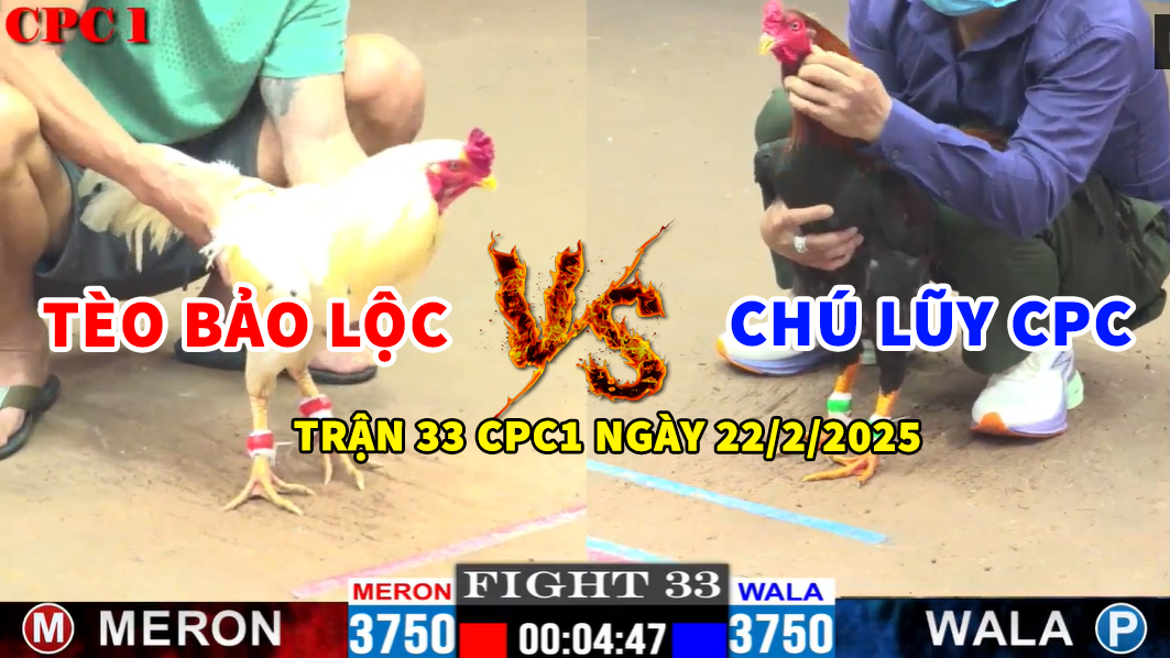 trận 33 cpc1 ngày 22/2/2025 hôm nay tèo bảo lộc vs chú lũy cpc