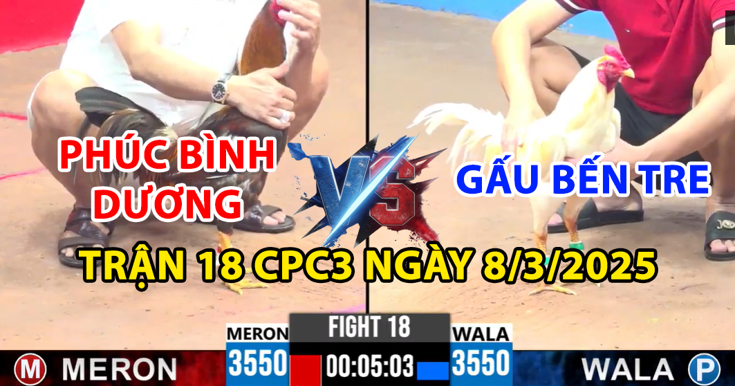 trận 18 cpc3 ngày 8/3/2025 hôm nay giữa anh gấu bến tre và phúc bình dương