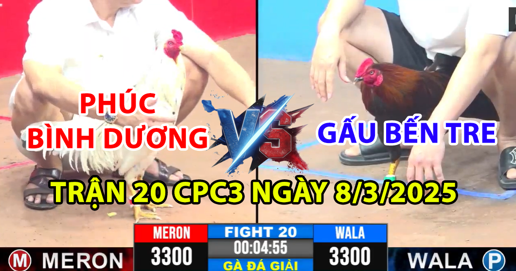 trận 20 cpc3 ngày 8/3/2025 hôm nay giữa phúc bình dương a và gấu bến tre a