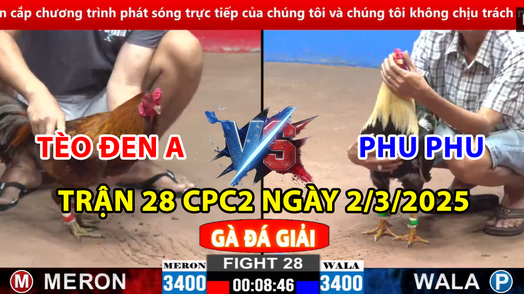 trận 28 cpc2 ngày 2/3/2025 hôm nay bảo sting và phu phu