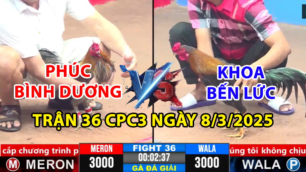 trận 36 cpc3 ngày 8/3/2025 hôm nay giữa phúc bình dương và khoa bến lức