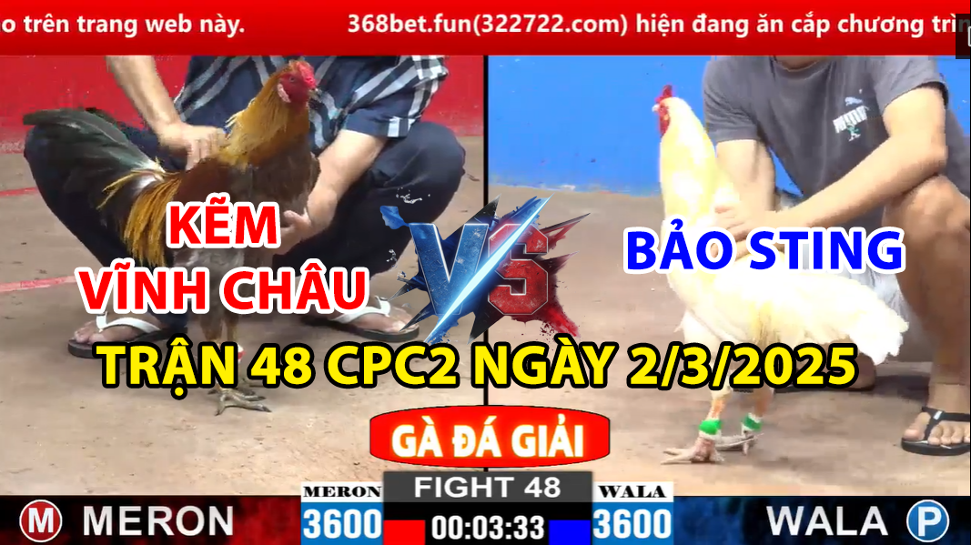 trận 48 cpc2 ngày 2/3/2025 hôm nay bảo sting vs kẽm vĩnh châu