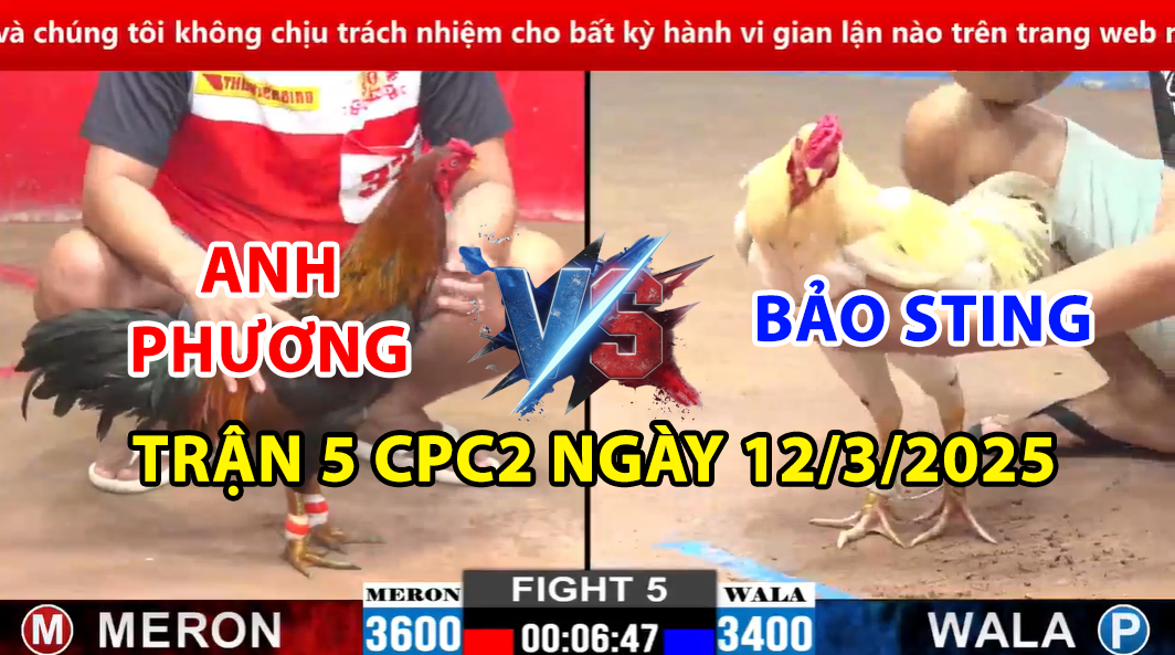 trận 5 cpc2 ngày 12/3/2025 hôm nay giữa bảo sting và anh phương