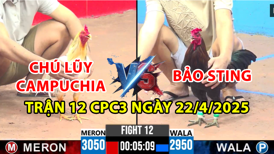 trận 12 cpc3 ngày 22/4/2025 hôm nay giữa bảo sting vs chú lũy cpc