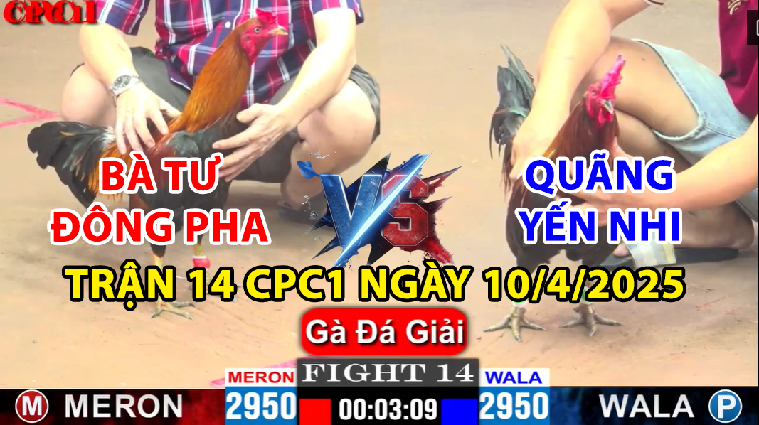 trận 14 cpc1 ngày 10/4/2025 hôm nay giữa quãng yến nhi vs bà tư đông phan
