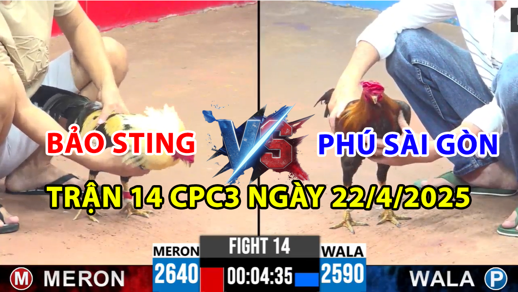 trận 14 cpc3 ngày 22/4/2025 hôm nay giữa bảo sting vs phú sài gòn