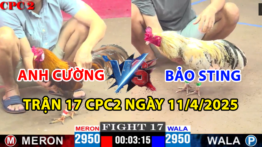 trận 17 cpc2 ngày 11/4/2025 hôm nay giữa bảo sting vs anh cường