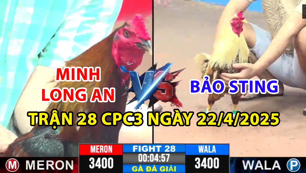trận 28 cpc3 ngày 22/4/2025 hôm nay giữa bảo sting vs minh long an