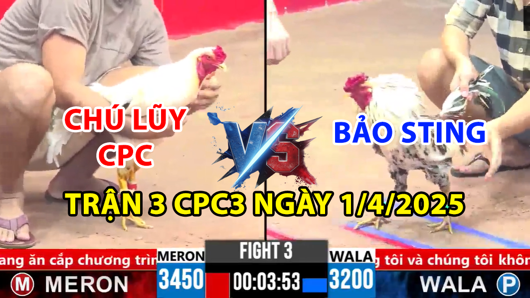 trận 3 cpc3 ngày 1/4/2025 hôm nay giữa bảo sting vs chú lũy cpc